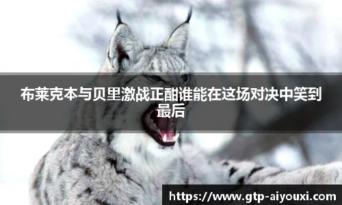 爱游戏体育