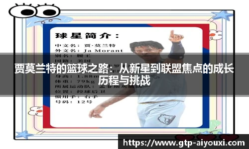 爱游戏