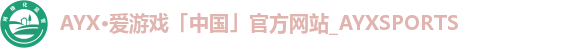 AYX·爱游戏「中国」官方网站_AYXSPORTS